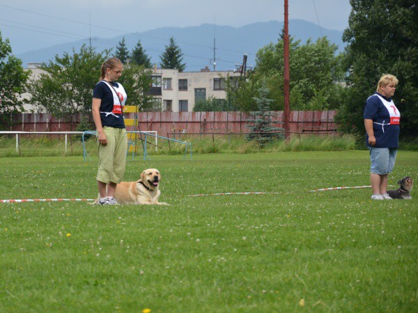 18. júna 2011 9:46:45