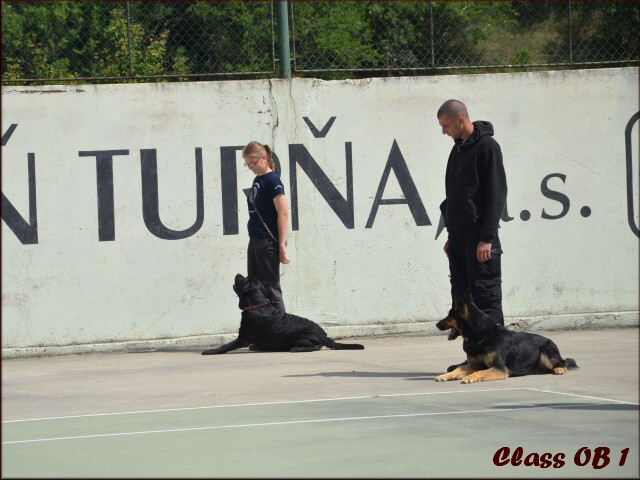 26. mája 2012 10:52:52