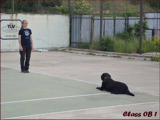 26. mája 2012 11:18:41