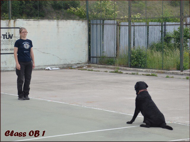 26. mája 2012 11:18:50
