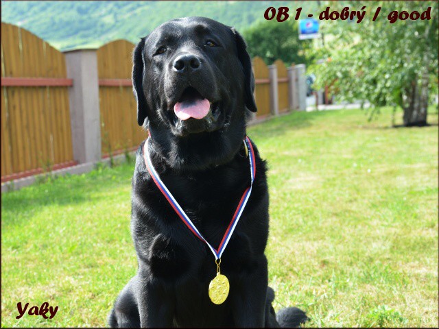 26. mája 2012 15:57:24