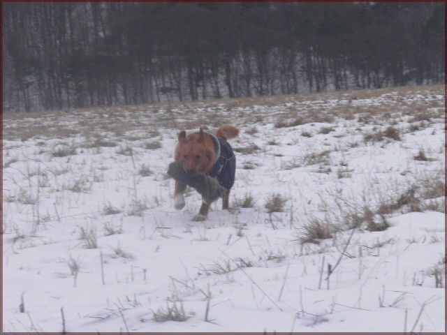18. januára 2013 10:32:38