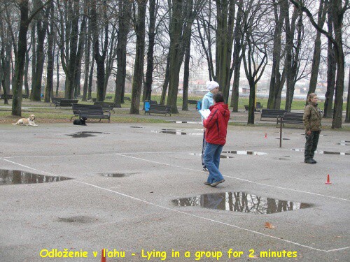 20. novembra 2010 10:27:12