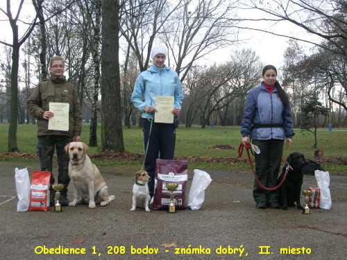 20. novembra 2010 14:57:07